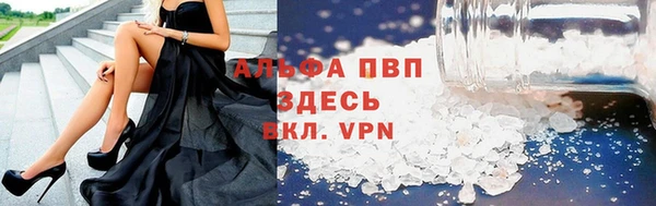 индика Нязепетровск