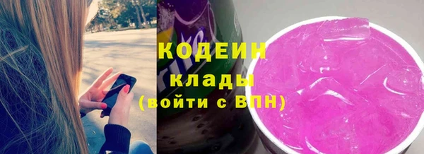 индика Нязепетровск