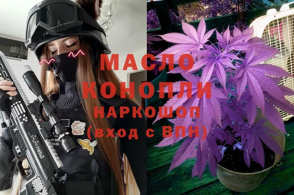 индика Нязепетровск