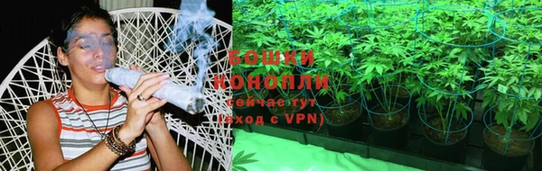 соль ск Новозыбков
