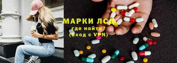 крисы Новокубанск