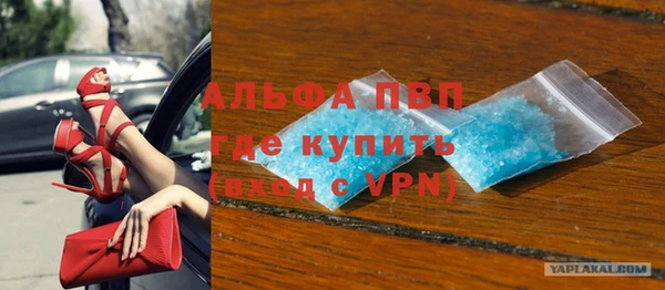 индика Нязепетровск